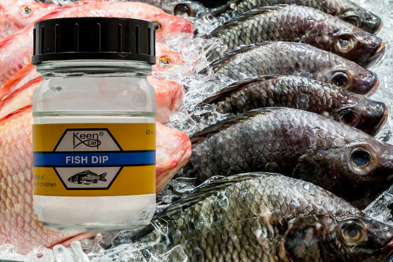 Dips Fish Dip 40ml.